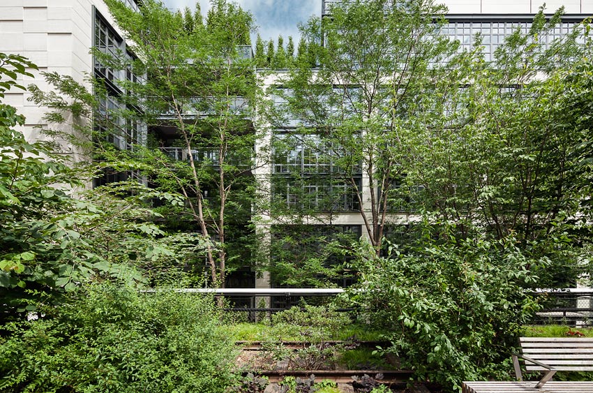 <p>500 West 21st Street</p>
                 <p>Chelsea, NY</p>
                 <p>Kohn Pedersen Fox</p>