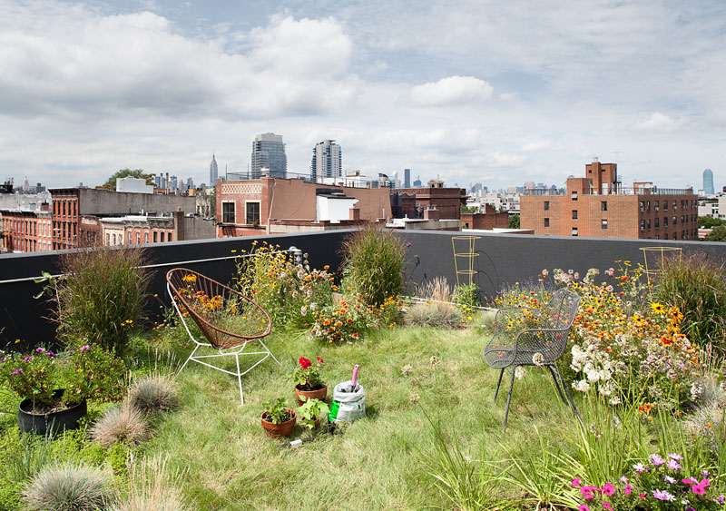 <p>Grand Street House</p>
                 <p>Brooklyn, NY</p>
                 <p>Architect: Loadingdock 5</p>